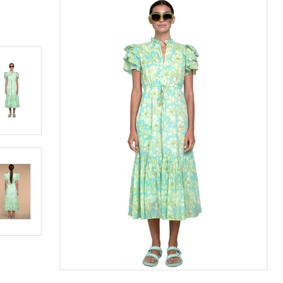Olivia James The Label Dresses & Skirts - Olivia James The Label Delia Midi Dress Flourish Sweatpea Green Blue Size Medium